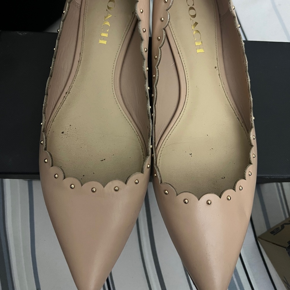 Coach Pointed Toe Blush Gold Stud Flats
